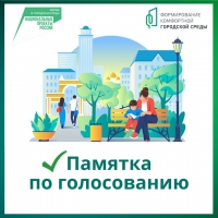 В Томске продолжается голосование за объекты благоустройства 2024 года